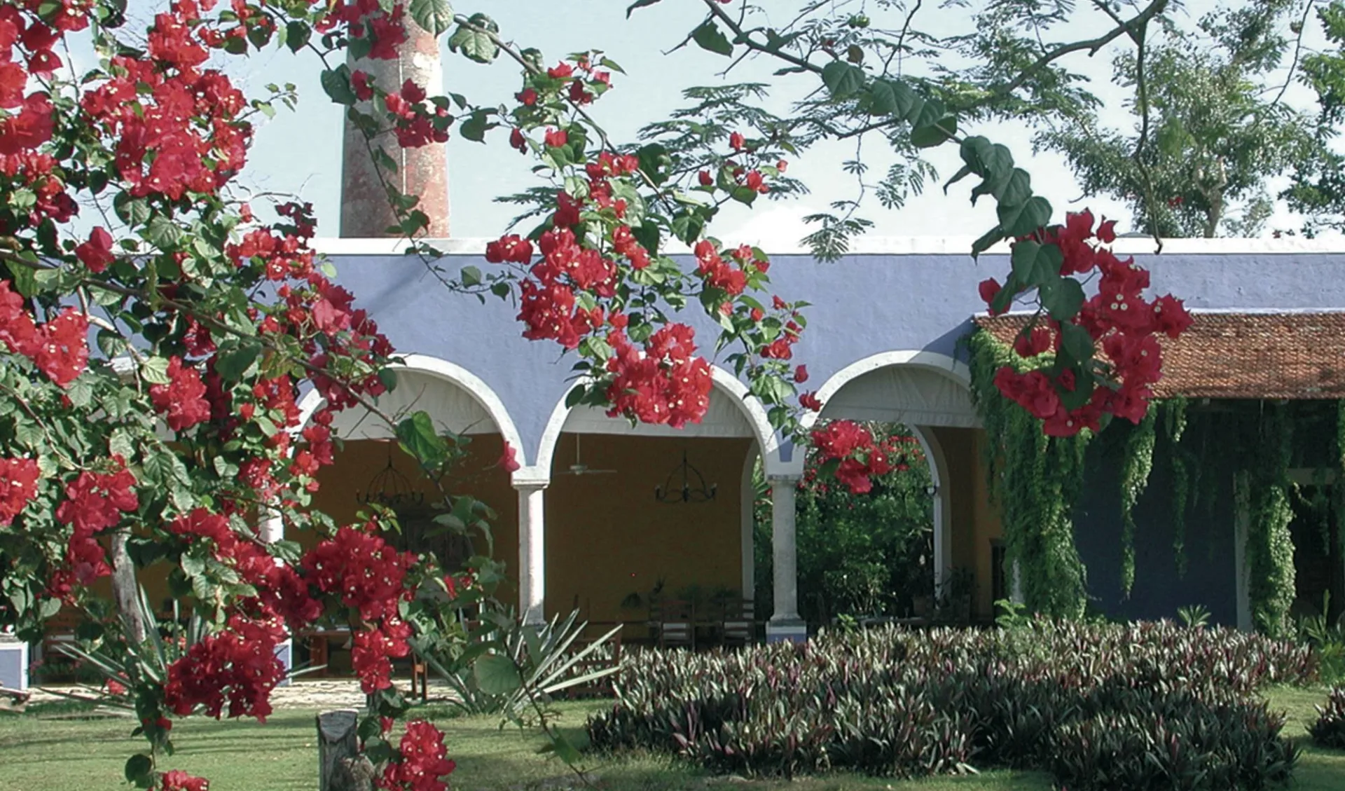 Hacienda San José in Tixkobob: natur hacienda san josé garten Hacienda San José in Tixkobob: natur hacienda san josé garten