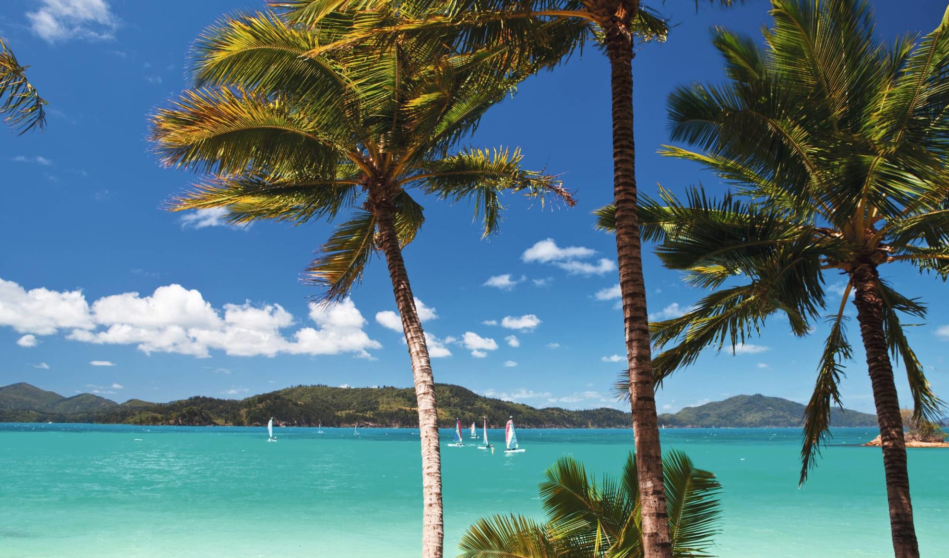 Reef View Hotel in Hamilton Island: Natur Hamilton Island Queensland Australien  c shutterstock_501597214 2017