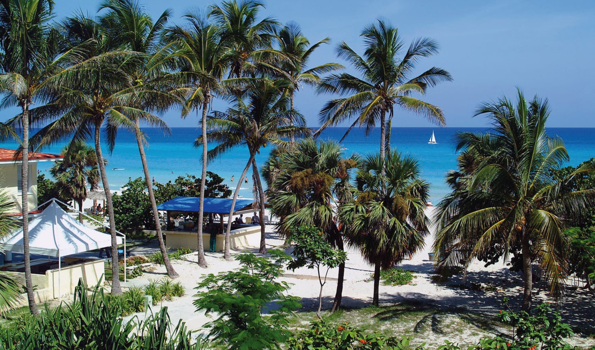 Sol Varadero Beach: natur sol sirenas coral strand palmen