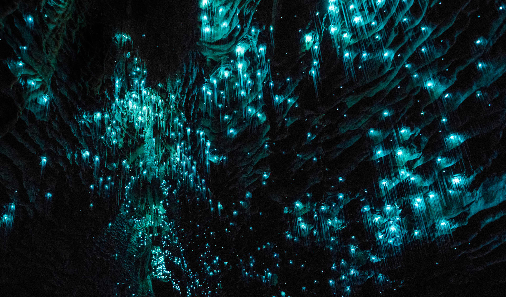 Waitomo Glowworm Caves, Neuseeland