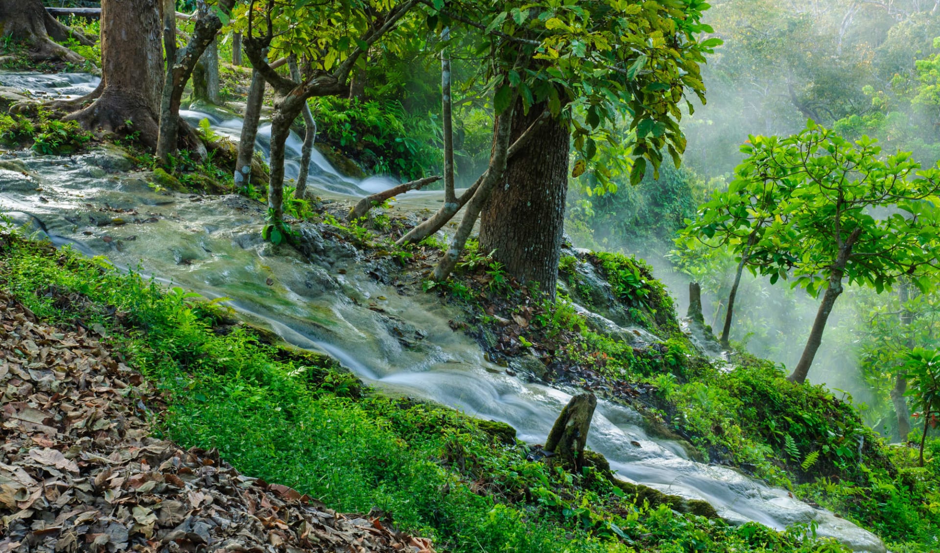 Nordthailand aktiv: Natur & Elefanten ab Chiang Mai: Northern Thailand Mae Tang Valley Bua Tong Waterfall Nordthailand aktiv: Natur & Elefanten ab Chiang Mai: Northern Thailand Mae Tang Valley Bua Tong Waterfall