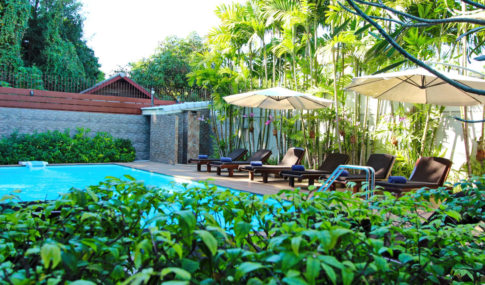 Shewe Wana Boutique Resort & Spa in Chiang Mai: Pool Shewe Wana Boutique Resort & Spa in Chiang Mai: Pool