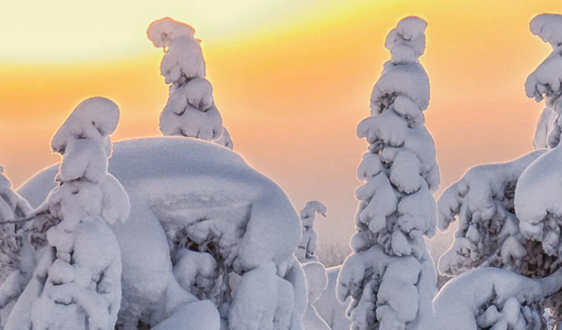 Langlauf, Lappland Langlauf, Lappland
