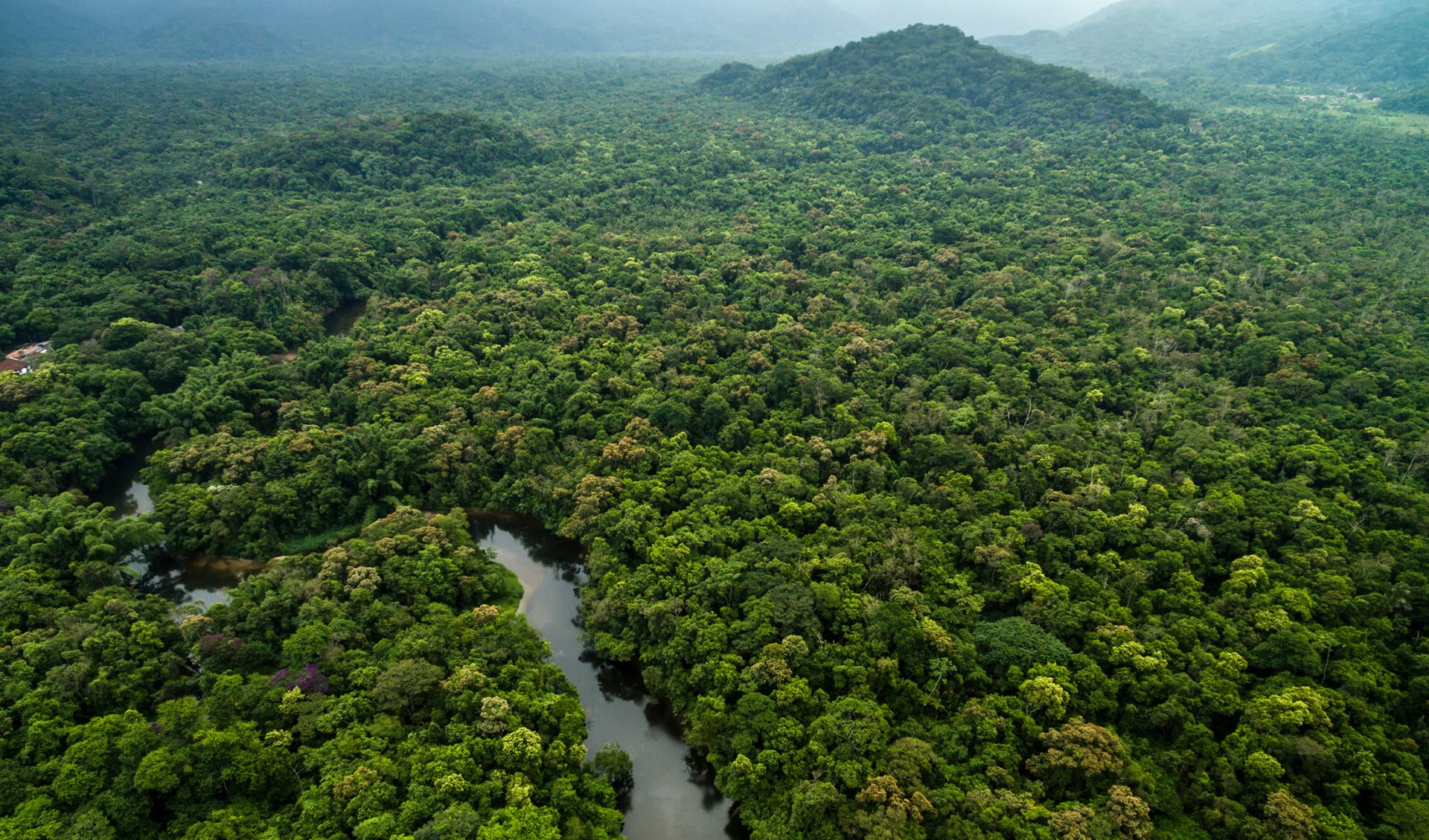 Amazonas, Dschungel und Fluss, Peru