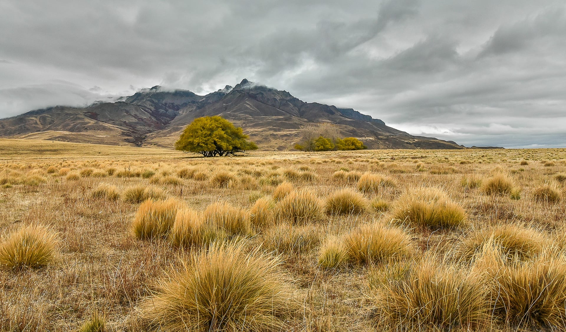 Pampa, Argentinien Pampa, Argentinien