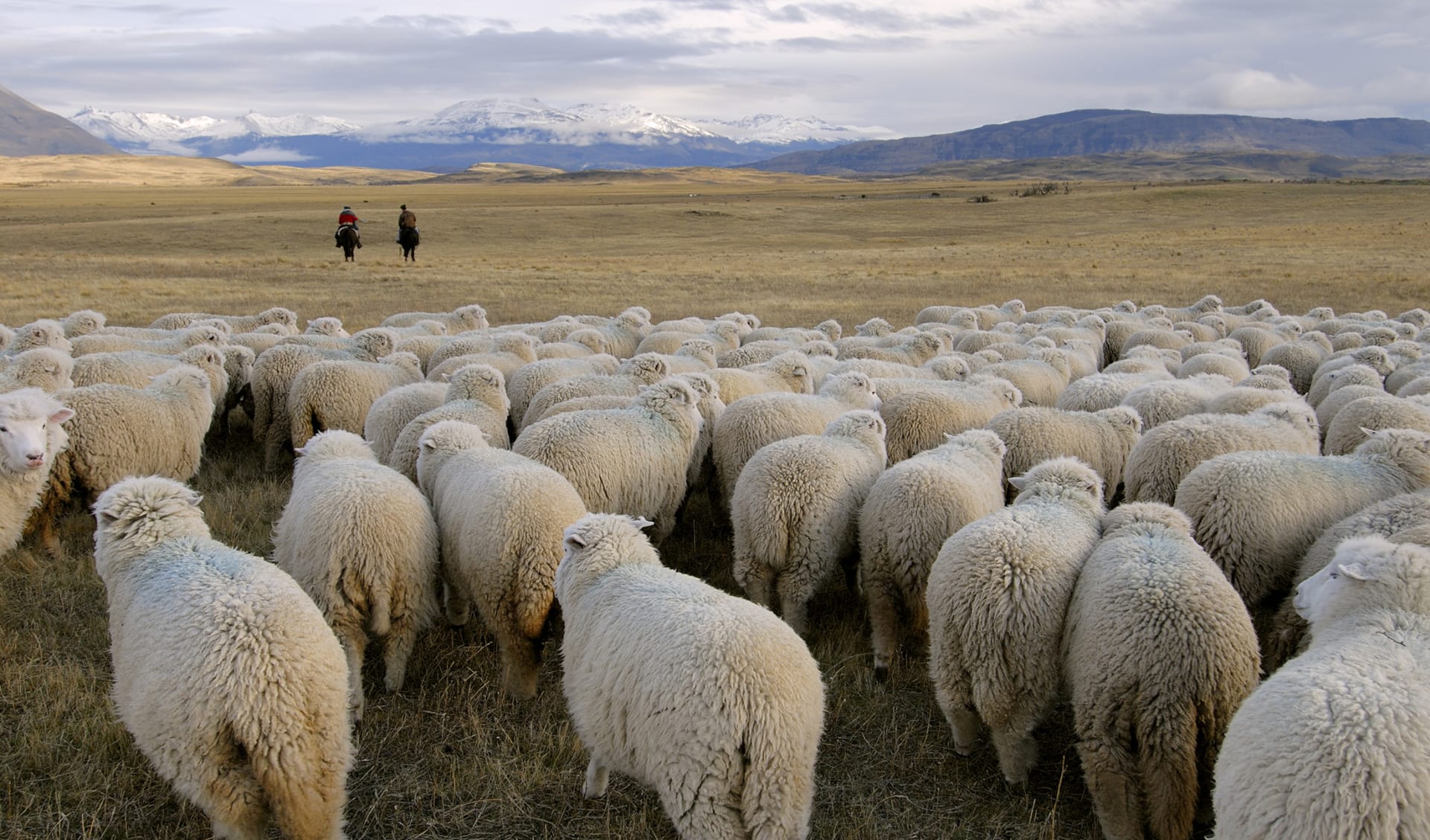 Gauchos, Pampa, Argentinien Gauchos, Pampa, Argentinien