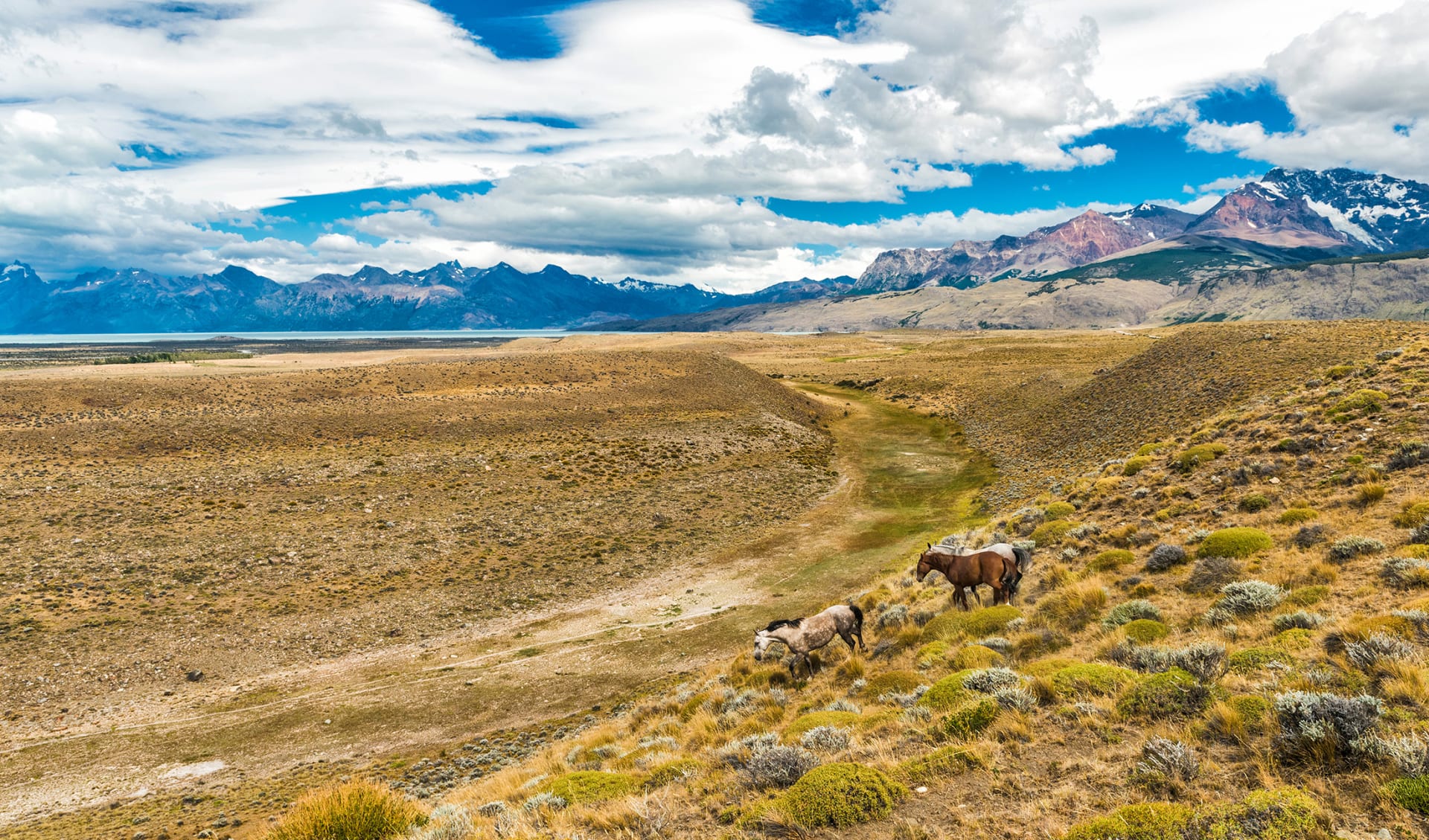 Pampa, Argentinien Pampa, Argentinien