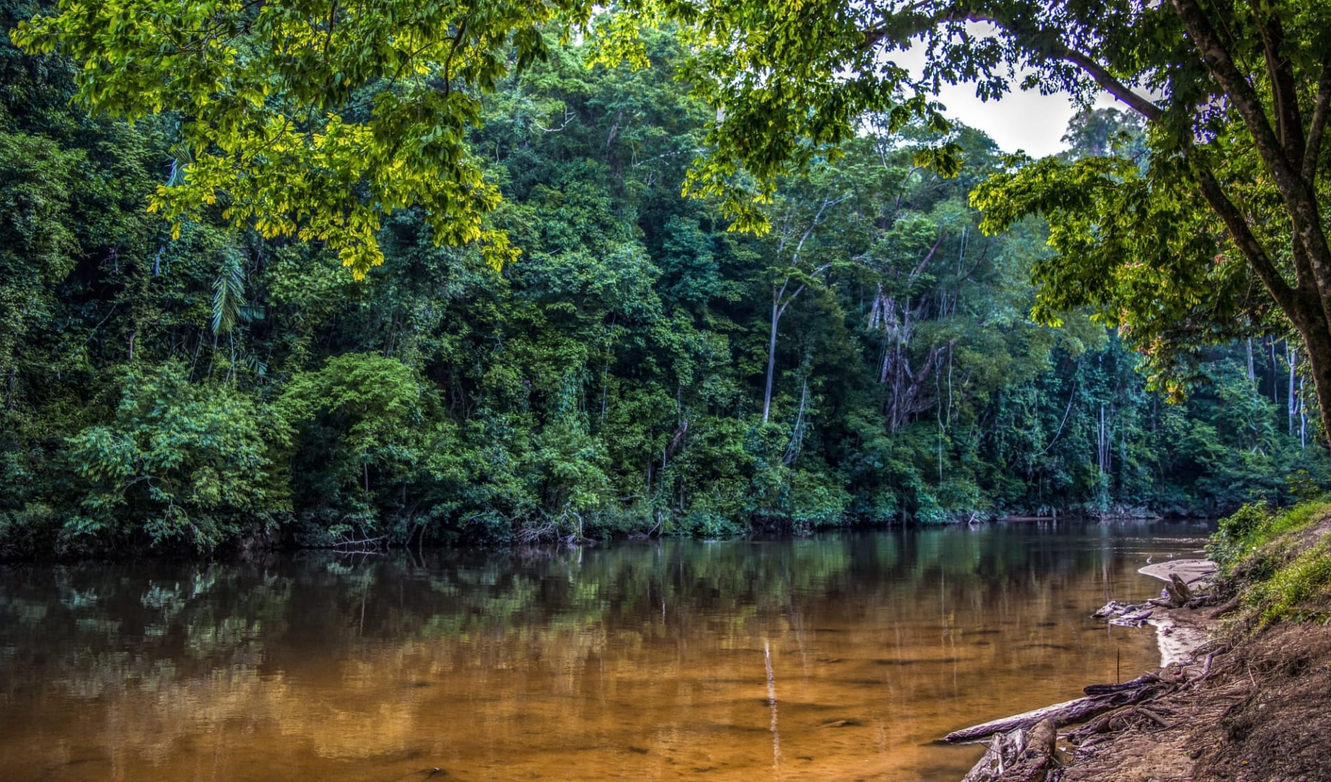 Authentisches Malaysia ab Kuala Lumpur: Taman Negara: Nature viewpoint of Tembeling River Authentisches Malaysia ab Kuala Lumpur: Taman Negara: Nature viewpoint of Tembeling River