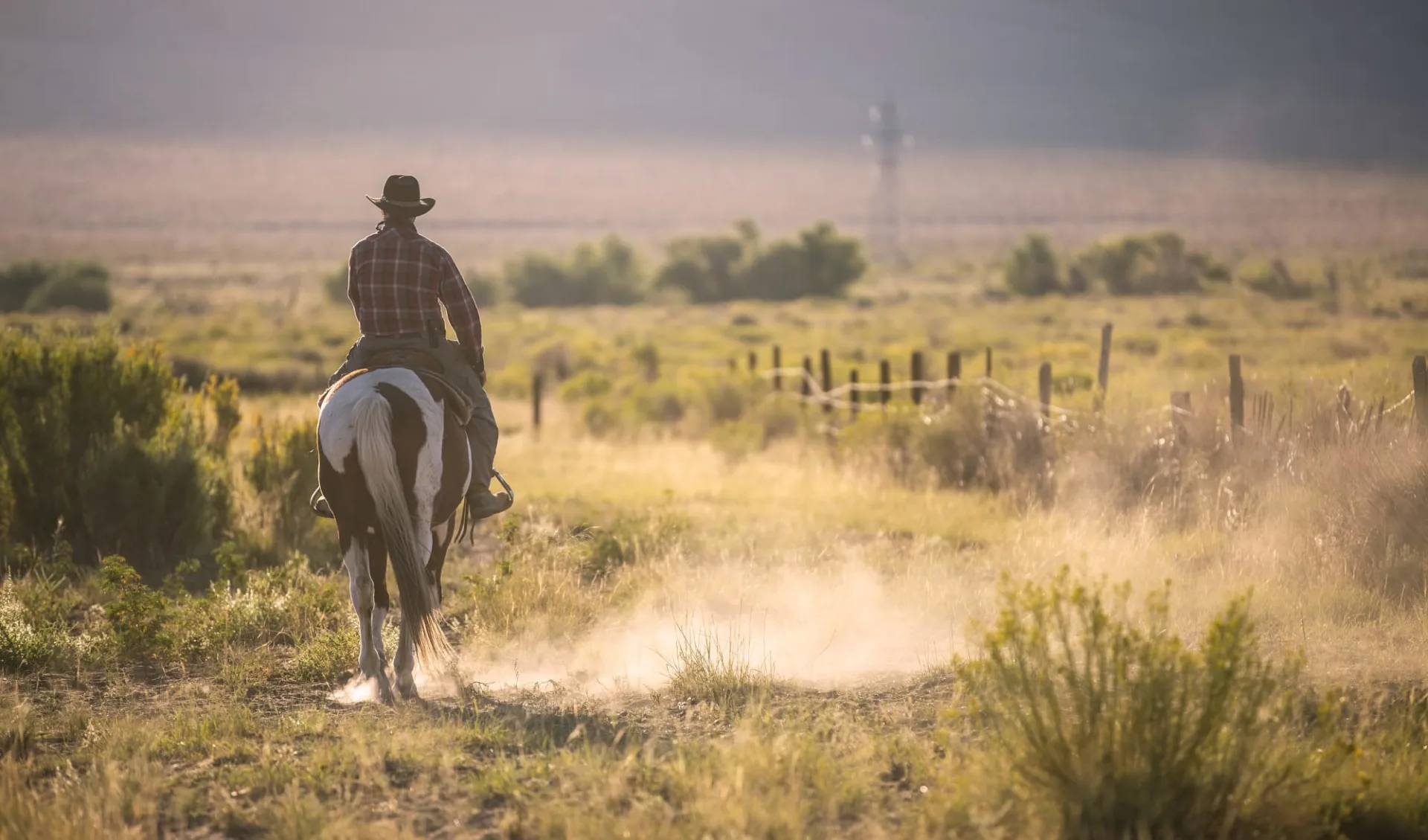 Texas Explorer ab Dallas: Texas_Cowboy Texas Explorer ab Dallas: Texas_Cowboy
