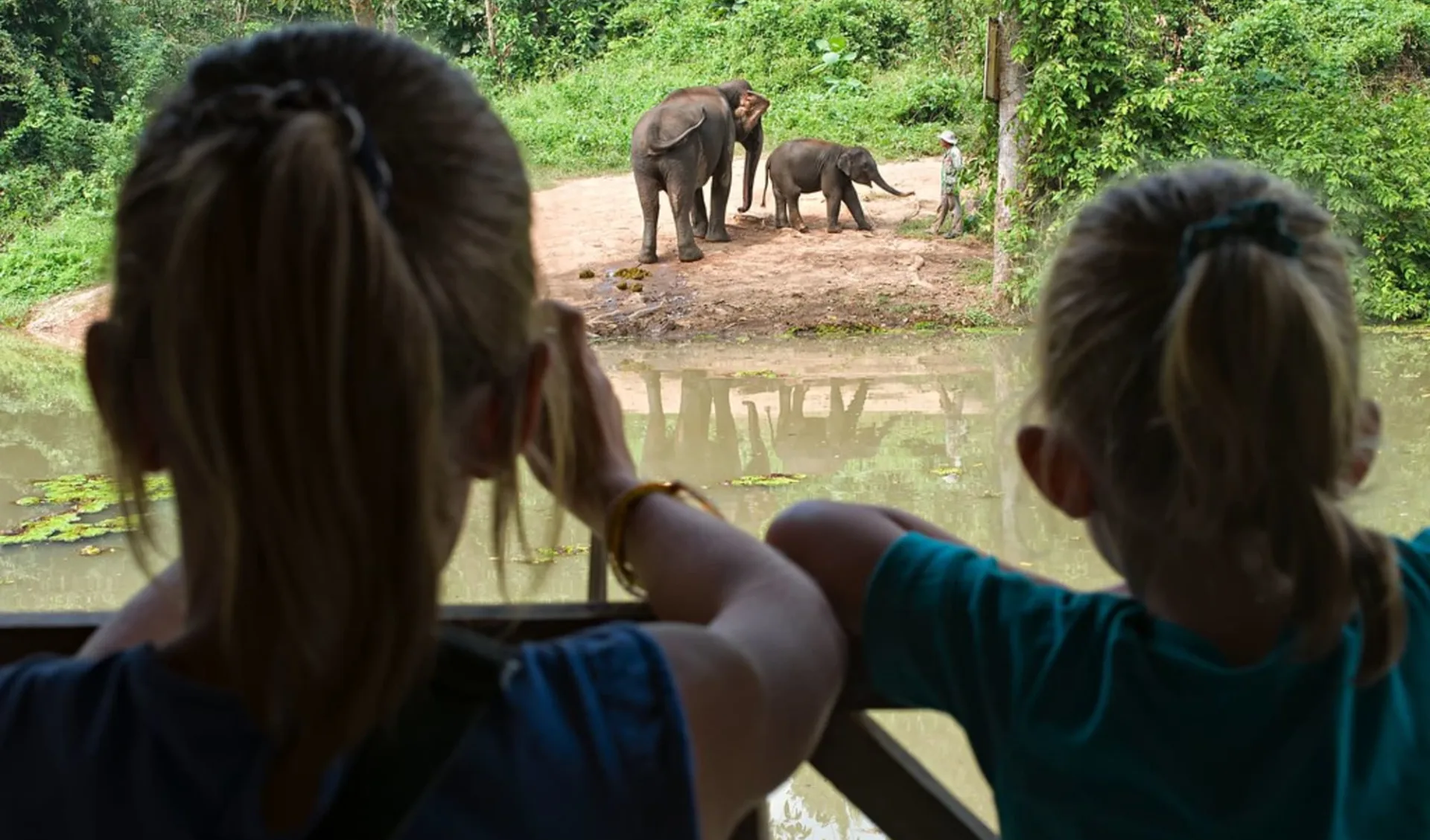 Im Reich der Elefanten ab Luang Prabang: Young visitors observing elephants Im Reich der Elefanten ab Luang Prabang: Young visitors observing elephants