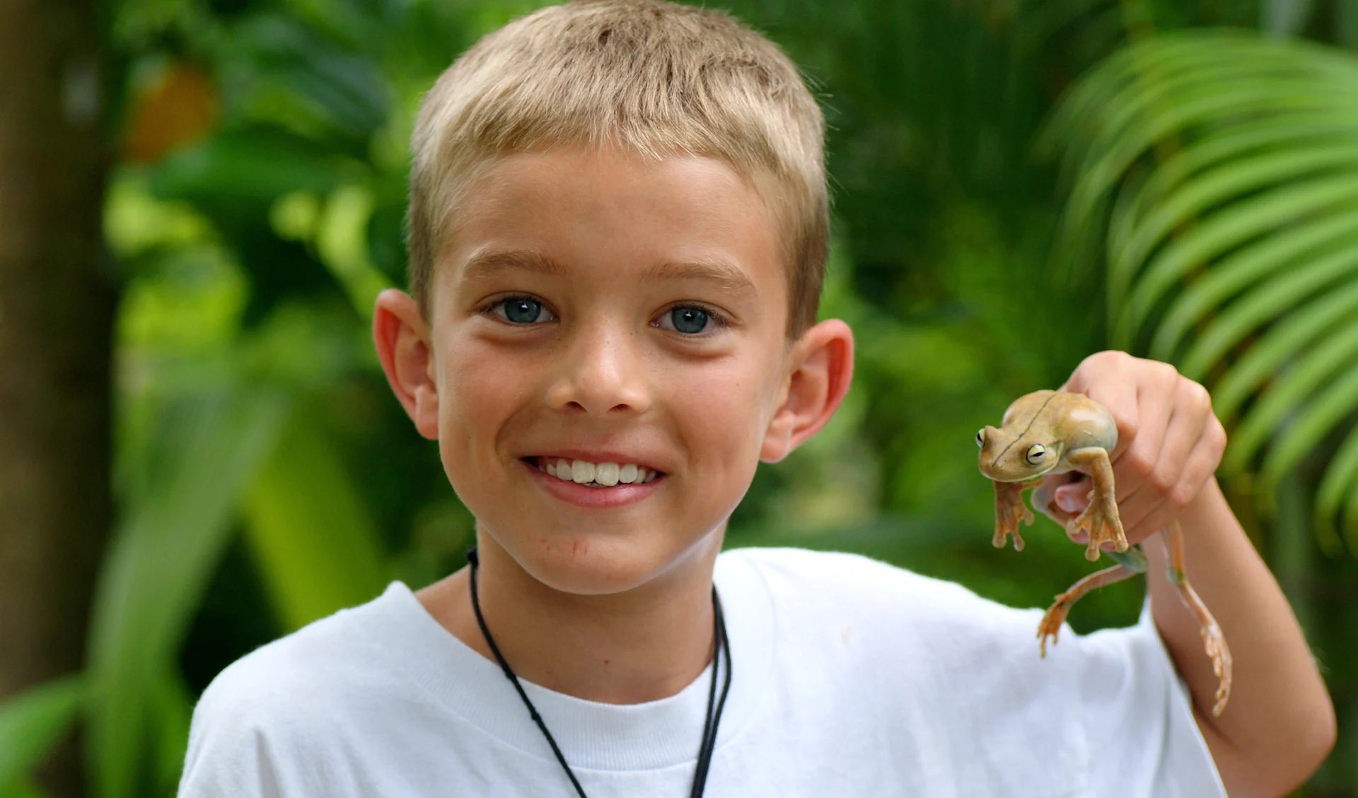 Junge, der einen riesigen Baumfrosch im Regenwald von Costa Rica hält Junge, der einen riesigen Baumfrosch im Regenwald von Costa Rica hält