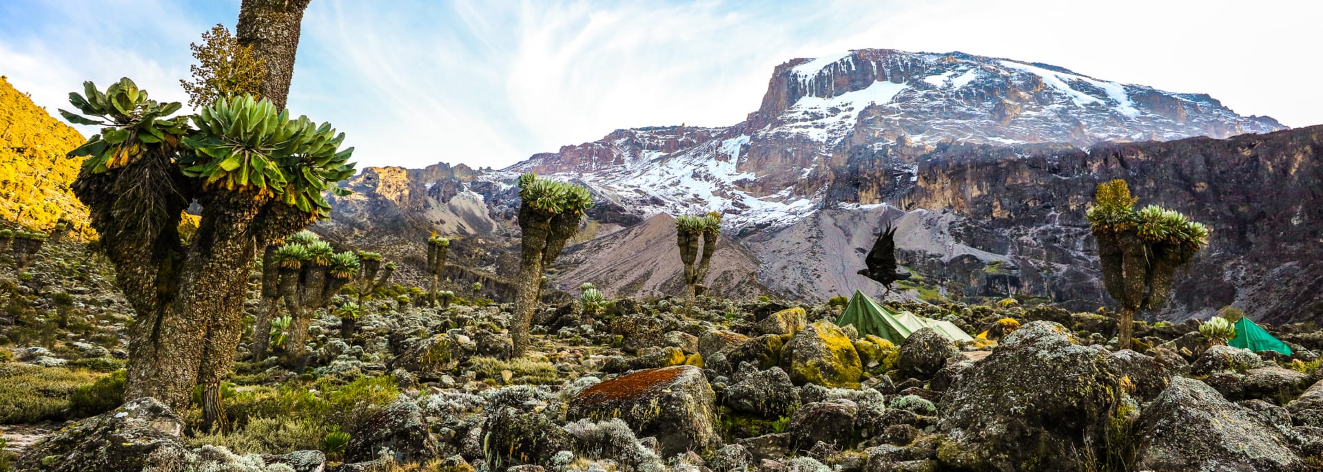 Kilimanjaro, Kenia Kilimanjaro, Kenia