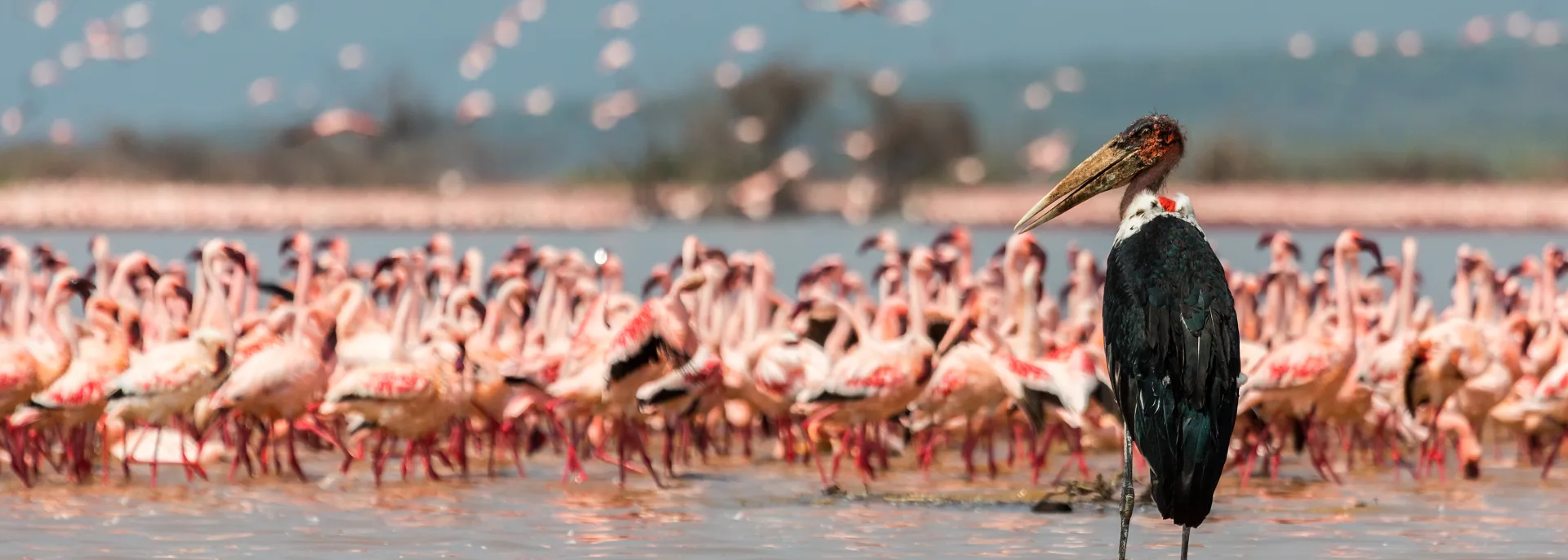 Lake Nakuru und Umgebung, Kenia Lake Nakuru und Umgebung, Kenia