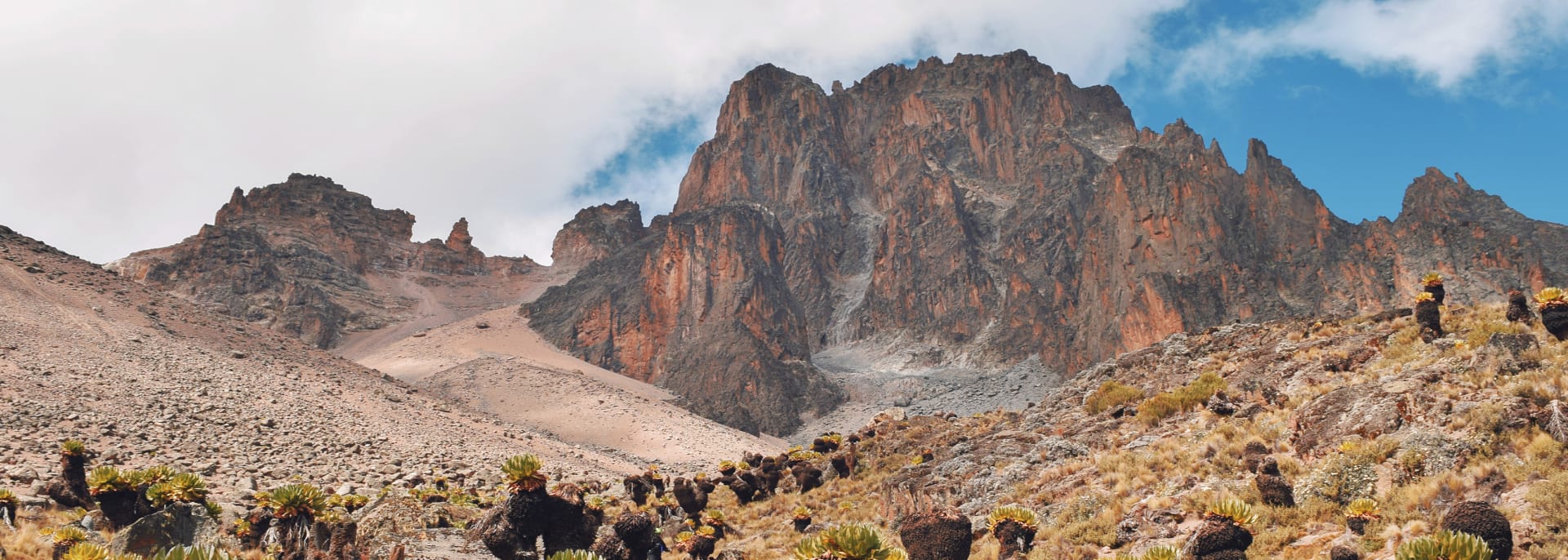 Mount Kenya und Ol Pejeta, Kenia