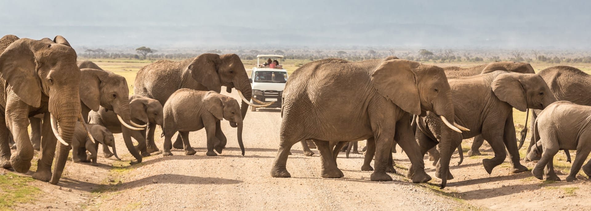 Safari, Kenia