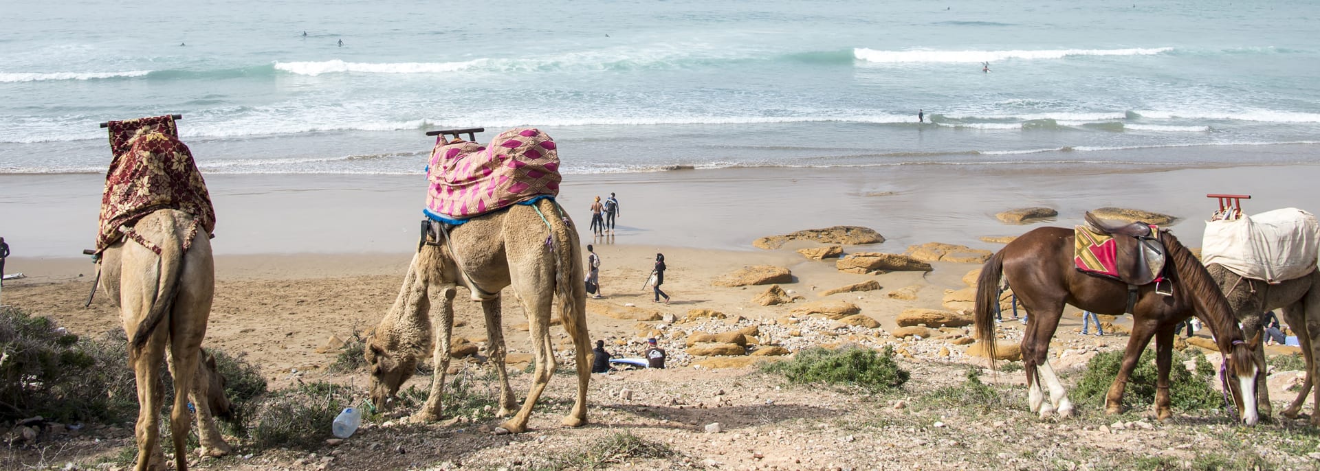 Taghazout, Marokko Taghazout, Marokko