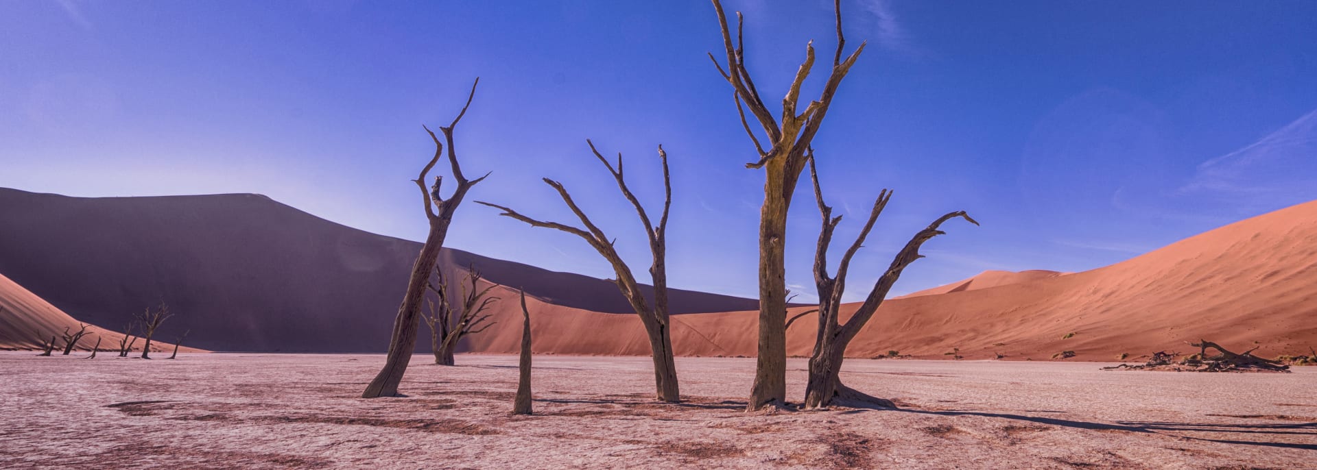 Namibia Wueste