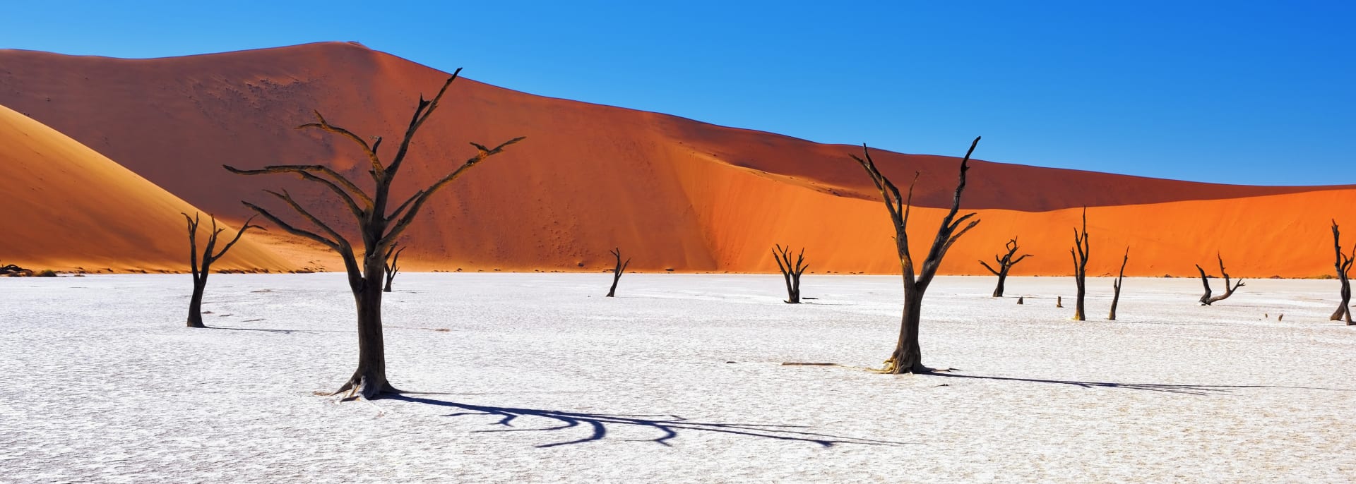 Deadlei, Sossusvlei, Namibia Deadlei, Sossusvlei, Namibia