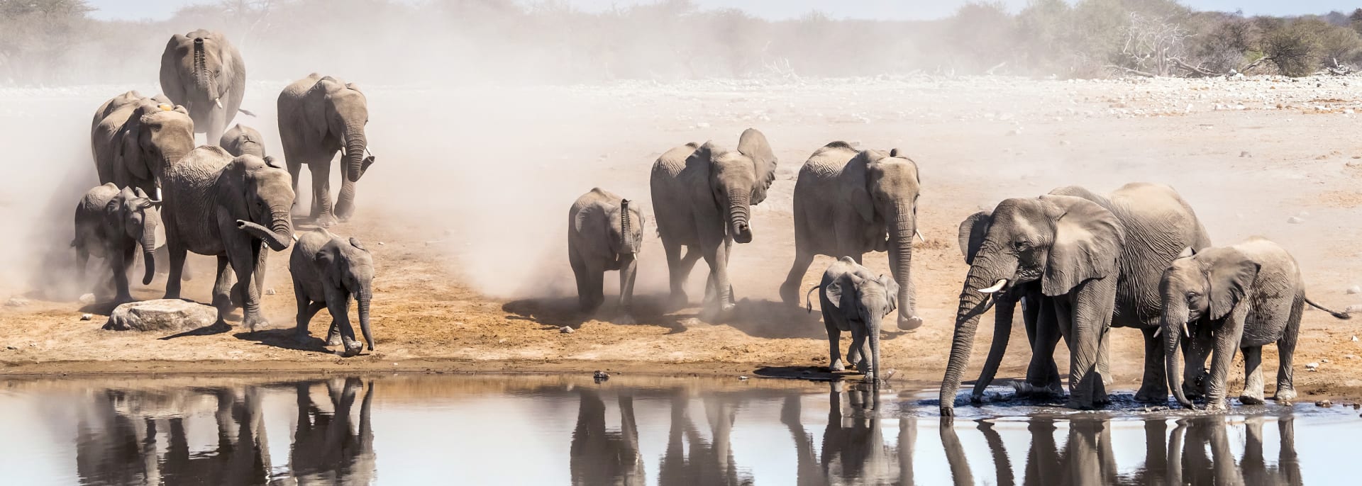 Etosha Nationalpark, Namibia Etosha Nationalpark, Namibia