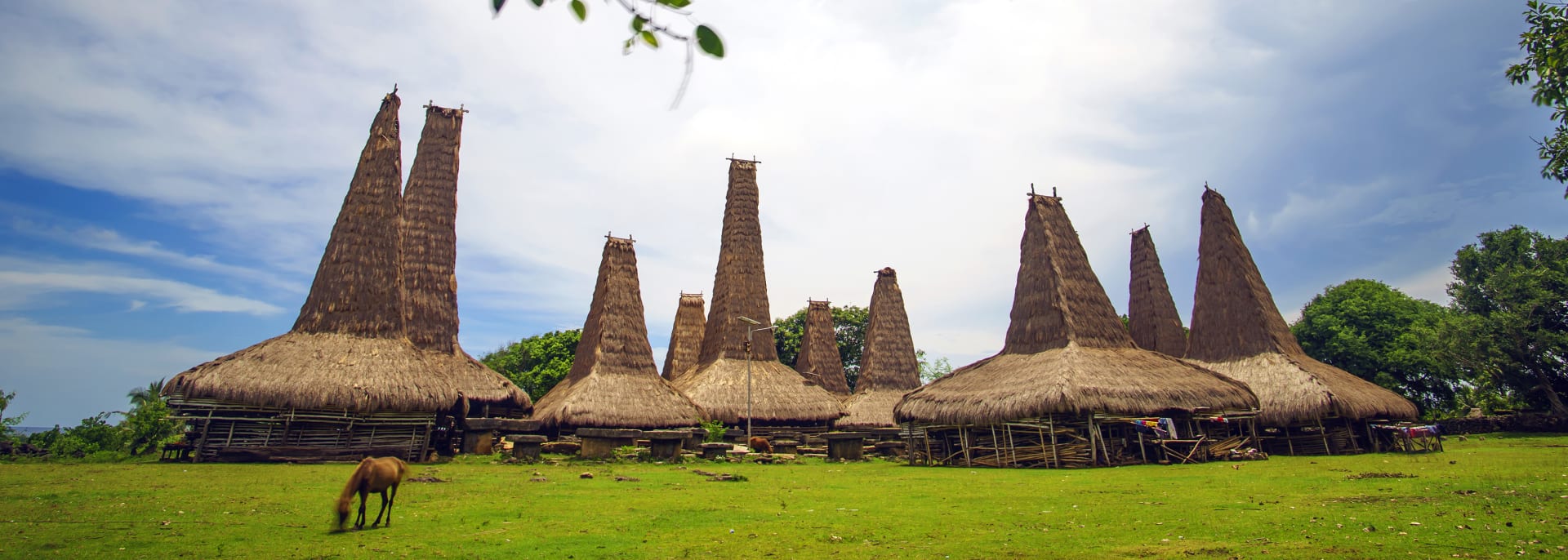  
 
Sumba Island, Indonesien