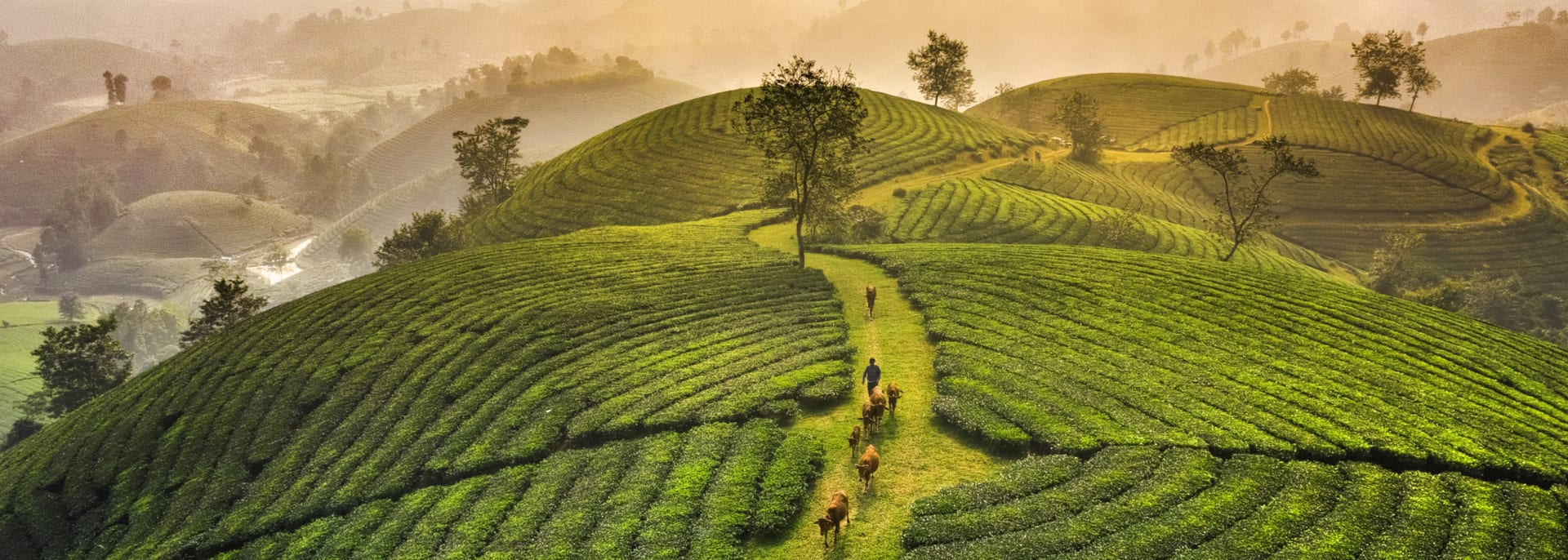 Phu Tho, Vietnam