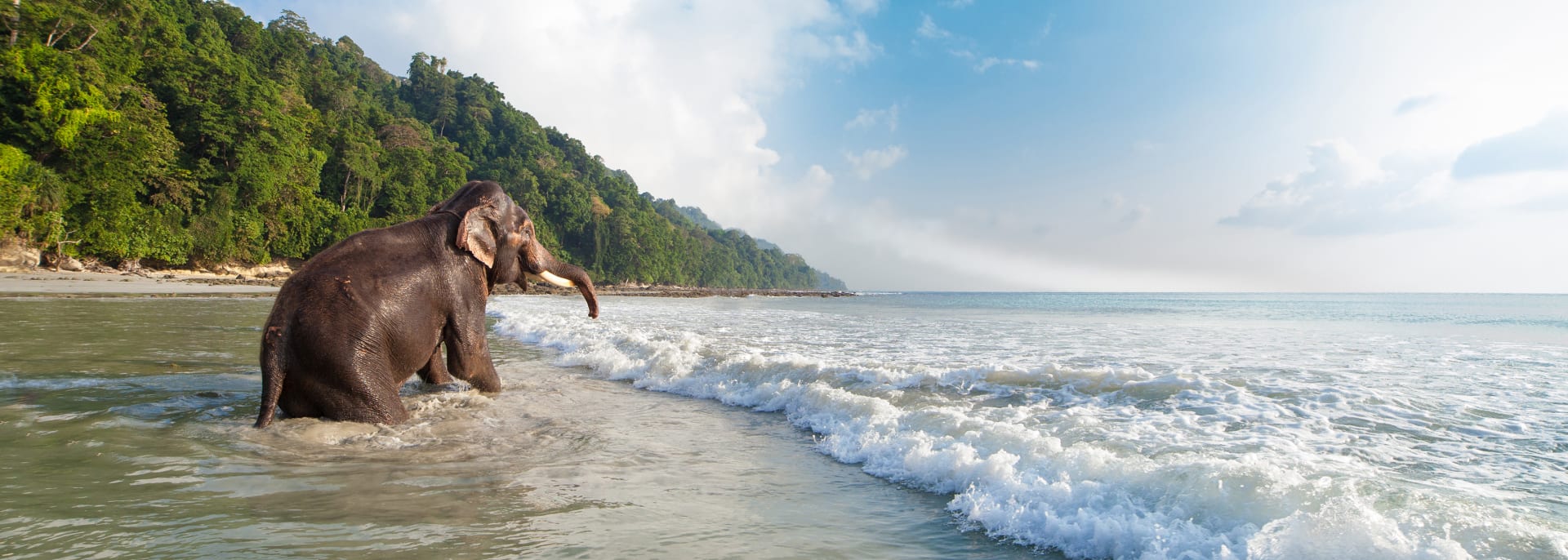 Havelock Insel, Indien Havelock Insel, Indien