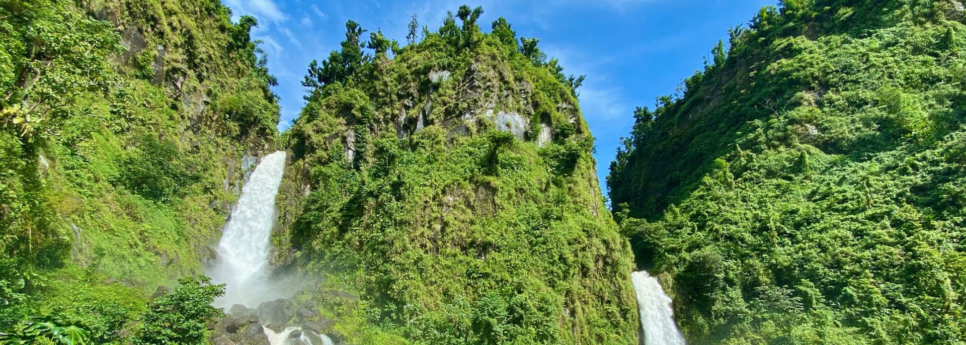Dominica Dominica