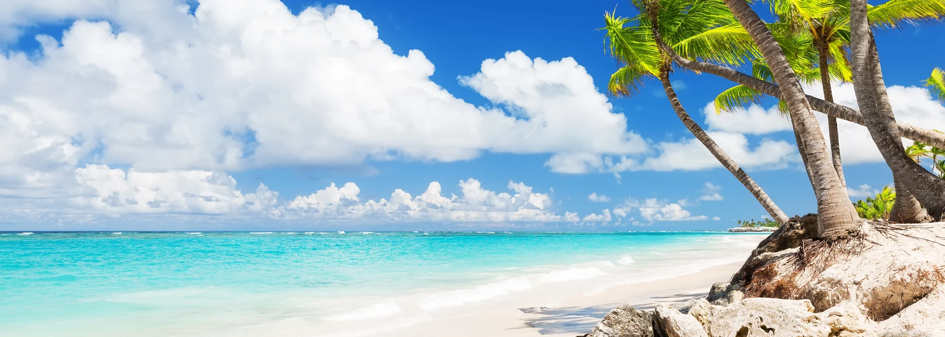 Kokospalmen am weißen Sandstrand von Punta Cana, Dominikanische Republik