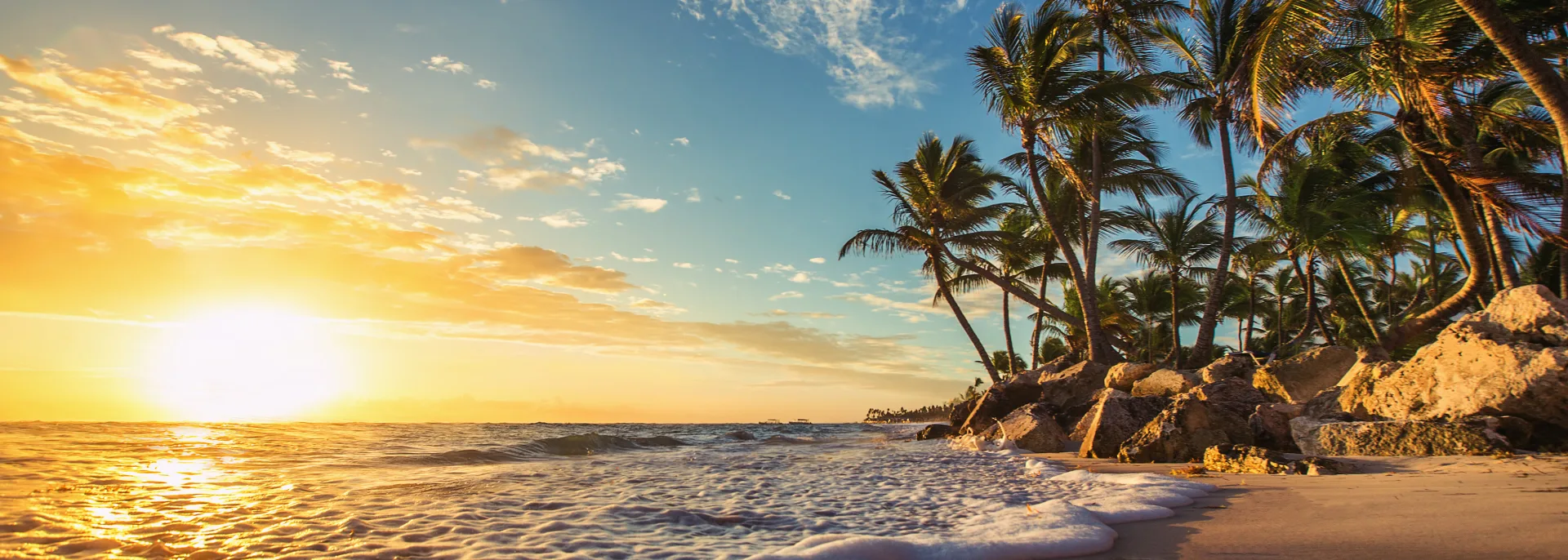 Palmen am tropischen Strand, Dominikanische Republik Palmen am tropischen Strand, Dominikanische Republik