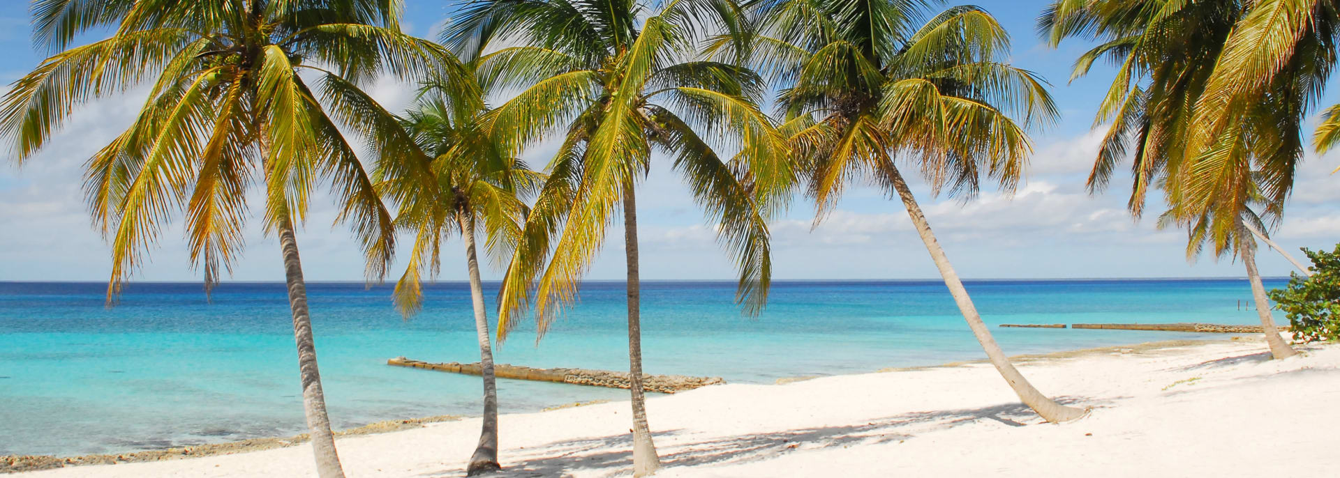 Tropical beach with white sand, palm-trees and blue ocean on Maria la Gorda, Cuba Tropical beach with white sand, palm-trees and blue ocean on Maria la Gorda, Cuba