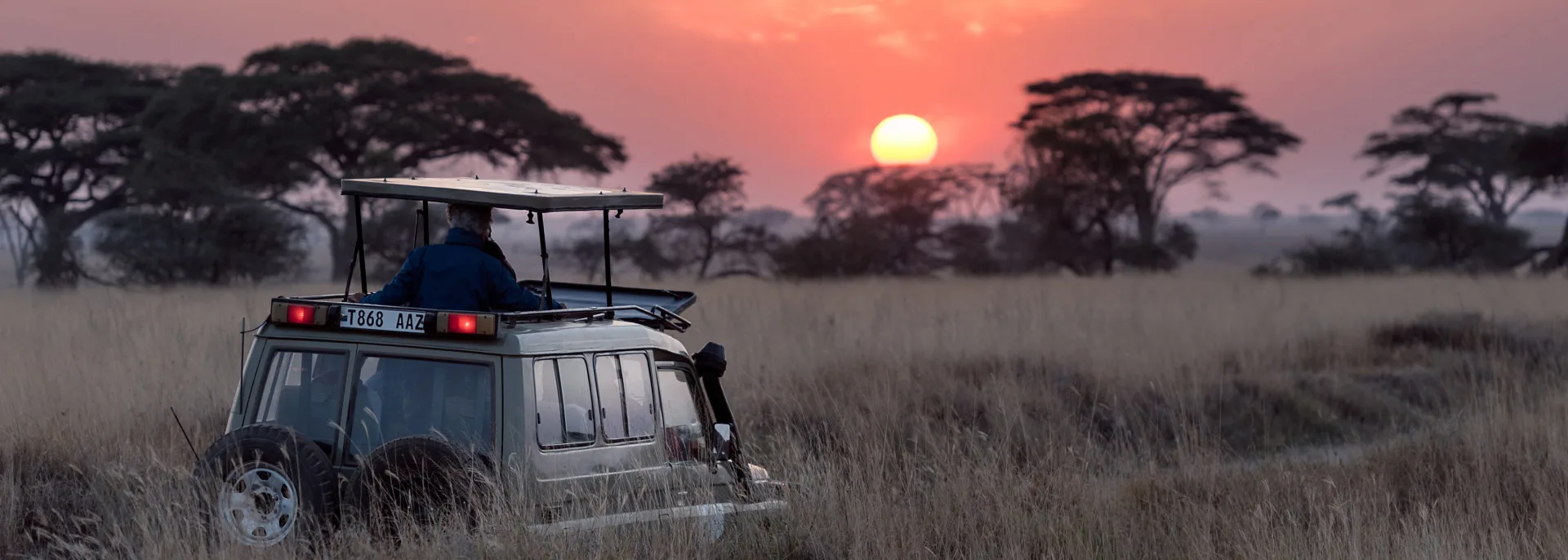 Safari Safari