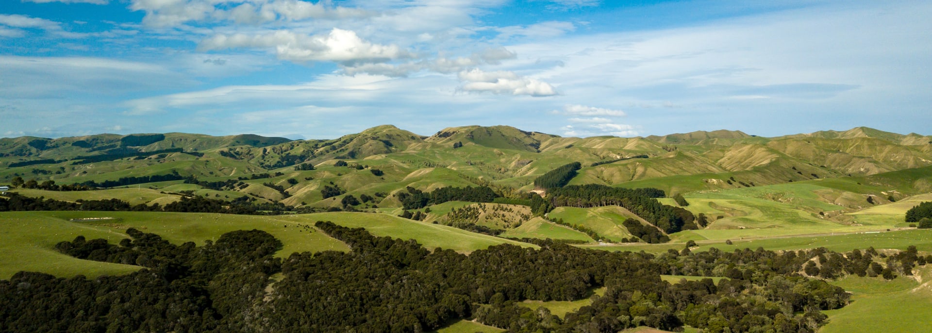  
Martinborough, Neuseeland
 
