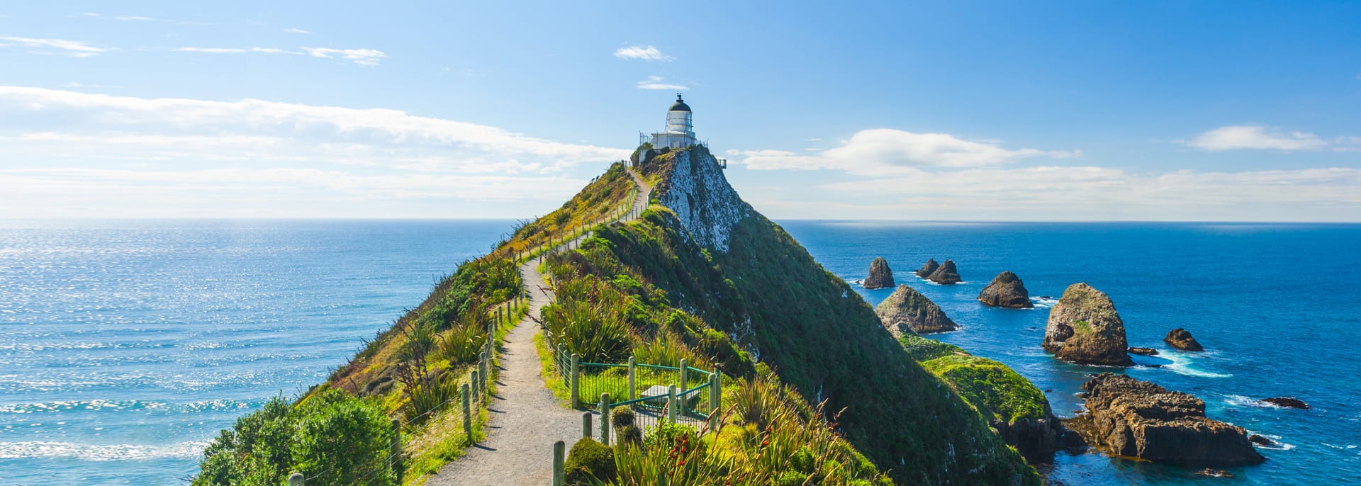 Nugget Point, Neuseeland