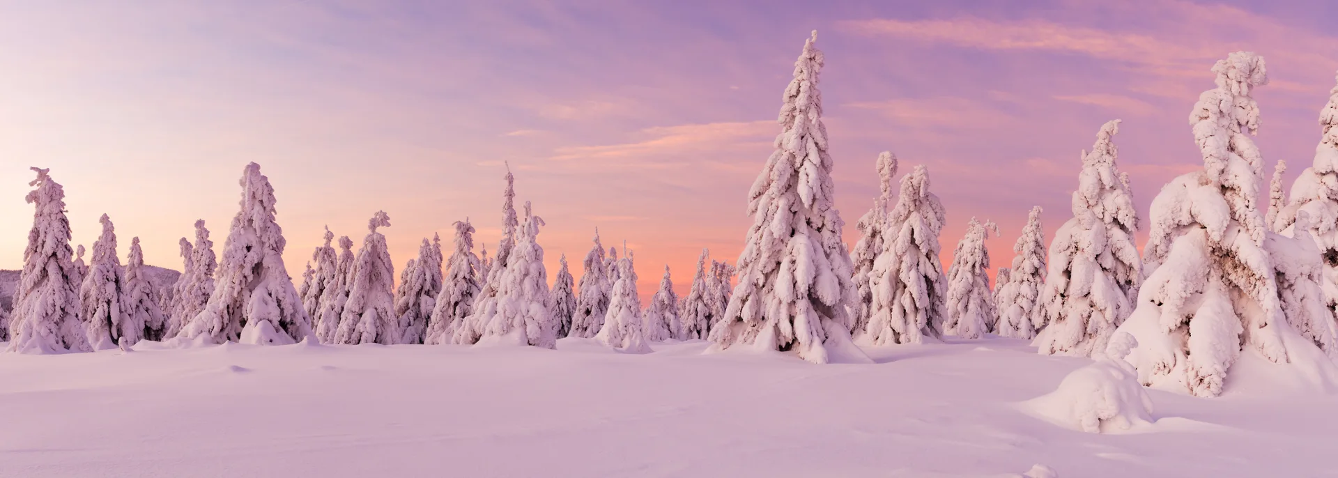 Winterlandschaft, Lappland Winterlandschaft, Lappland