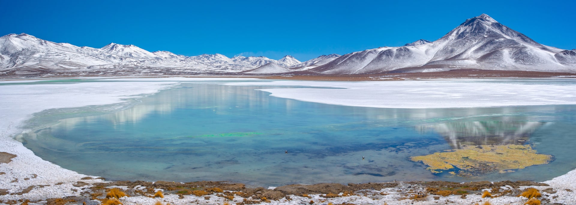 Laguna Blanca, Sud Lipez, Potosi, Bolivien Laguna Blanca, Sud Lipez, Potosi, Bolivien