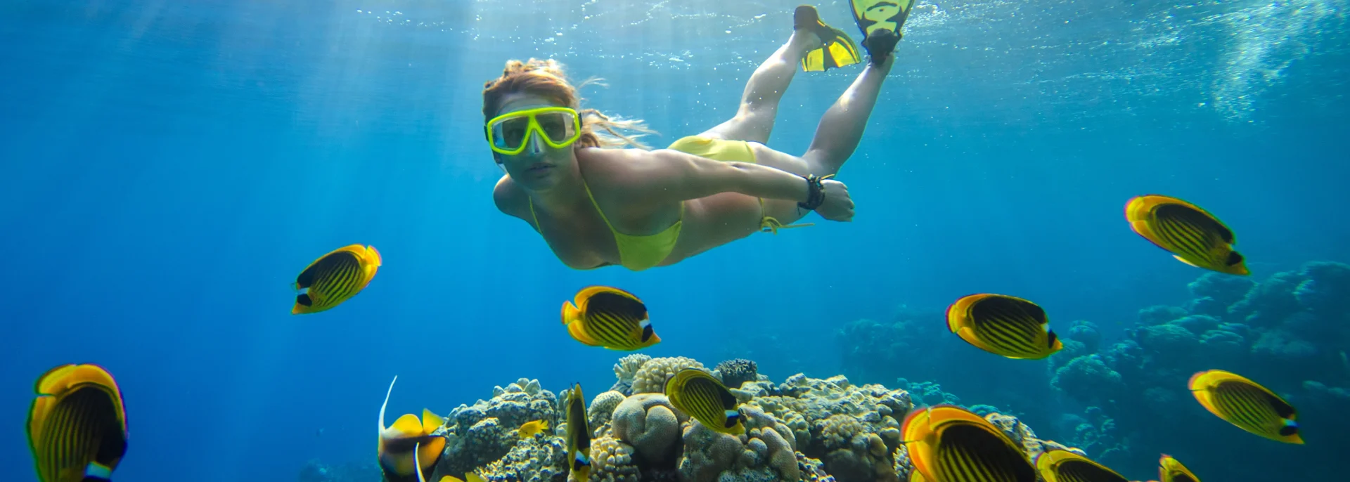 Mädchen taucht in einem tropischen Meer mit Korallen und Fischen, Belize Mädchen taucht in einem tropischen Meer mit Korallen und Fischen, Belize
