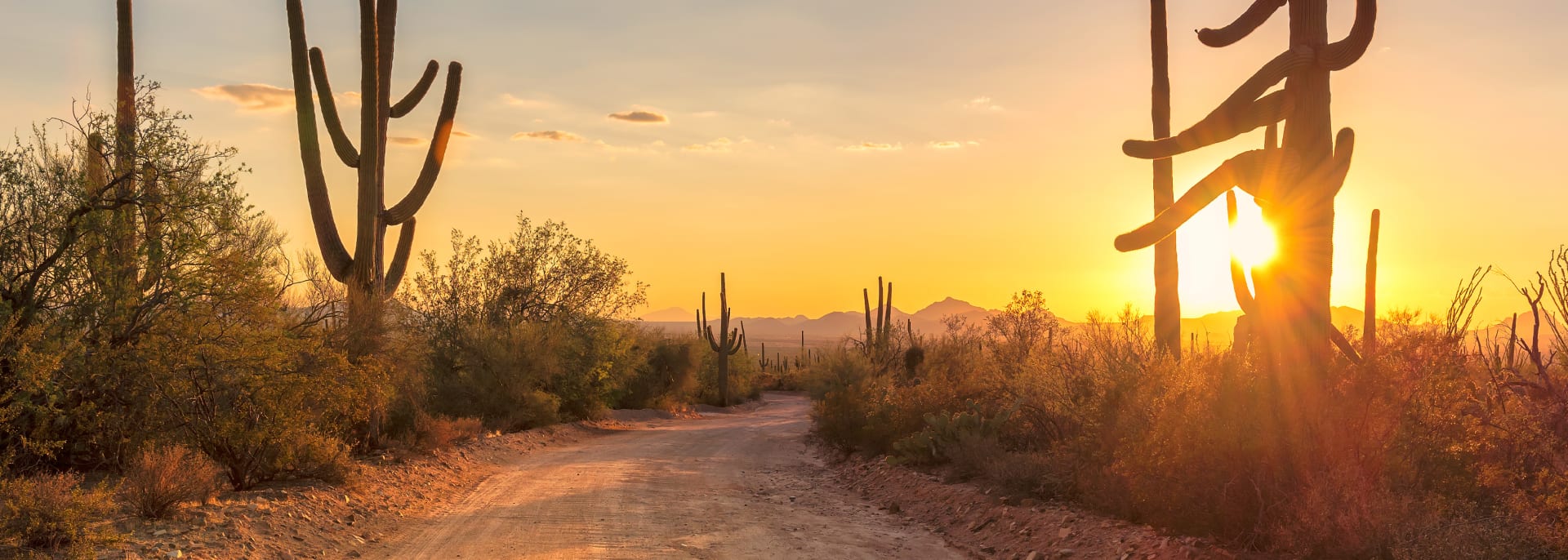 Sonnenuntergang in der Wüste von Mexico