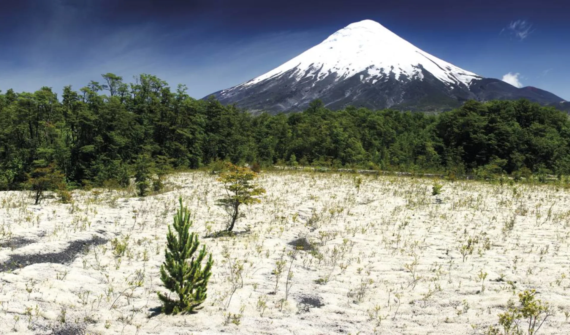 Zubucherreise Seengebiet ab Puerto Montt: Osorno Vulkan