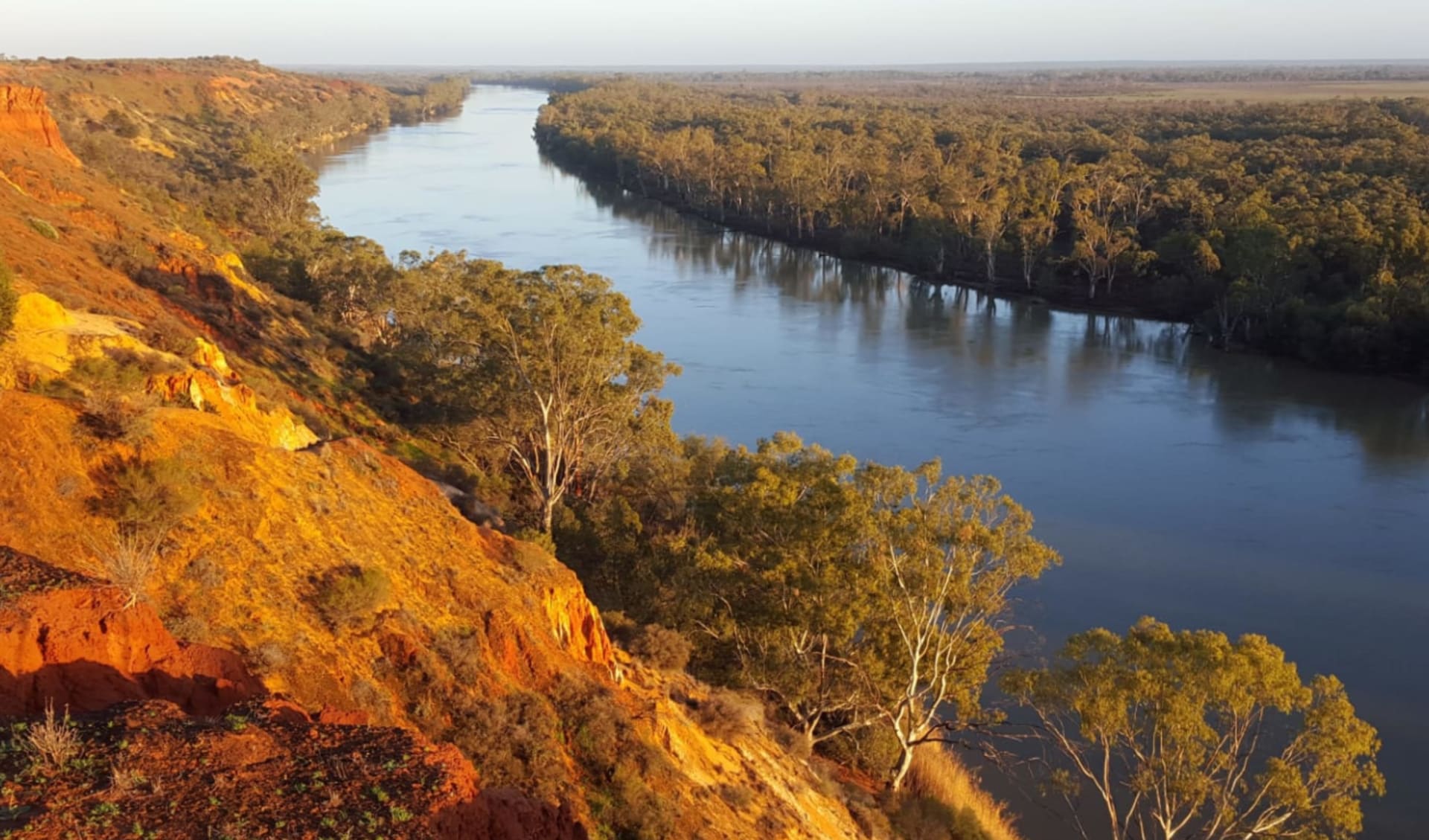 images Murray River murray river walk ab renmark knecht