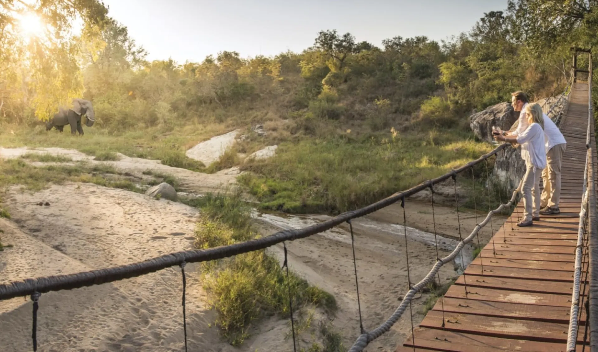 Dulini Lodge in Sabi Sands: dulini _bridge