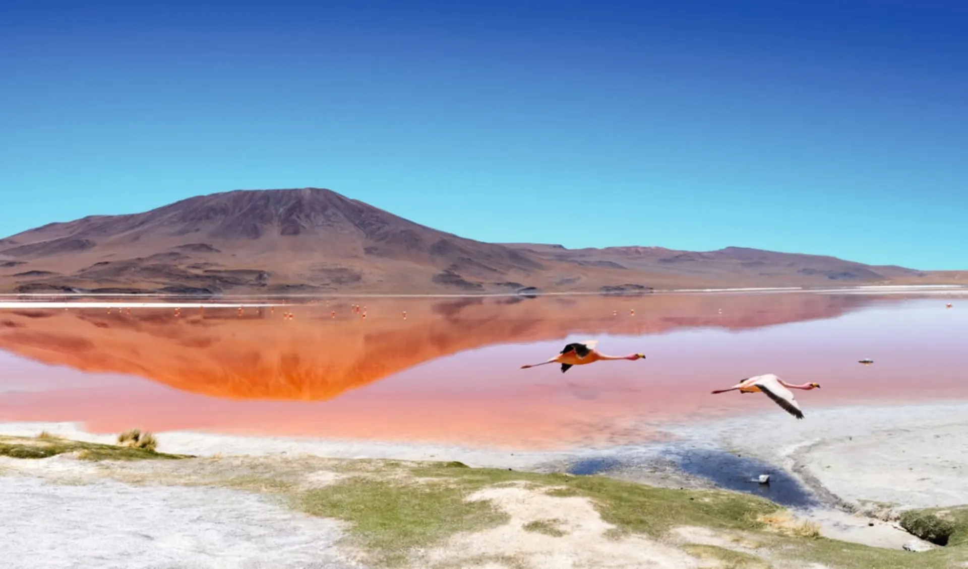 Pachamama ab Santa Cruz: Bolivien - Lagune auf der Route Ruta de las Joyas altoandinas - Panorama mit Flamingos