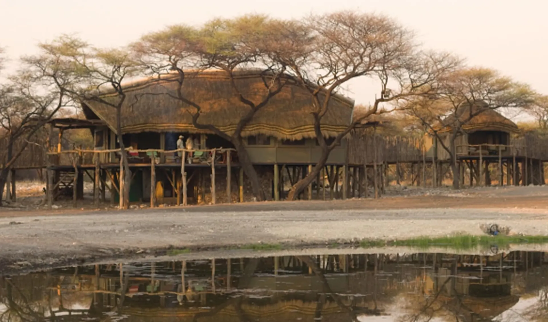 Onguma Camp Kala in Etosha Nationalpark: ONGUMA TREE TOP MAIN COMPLEX