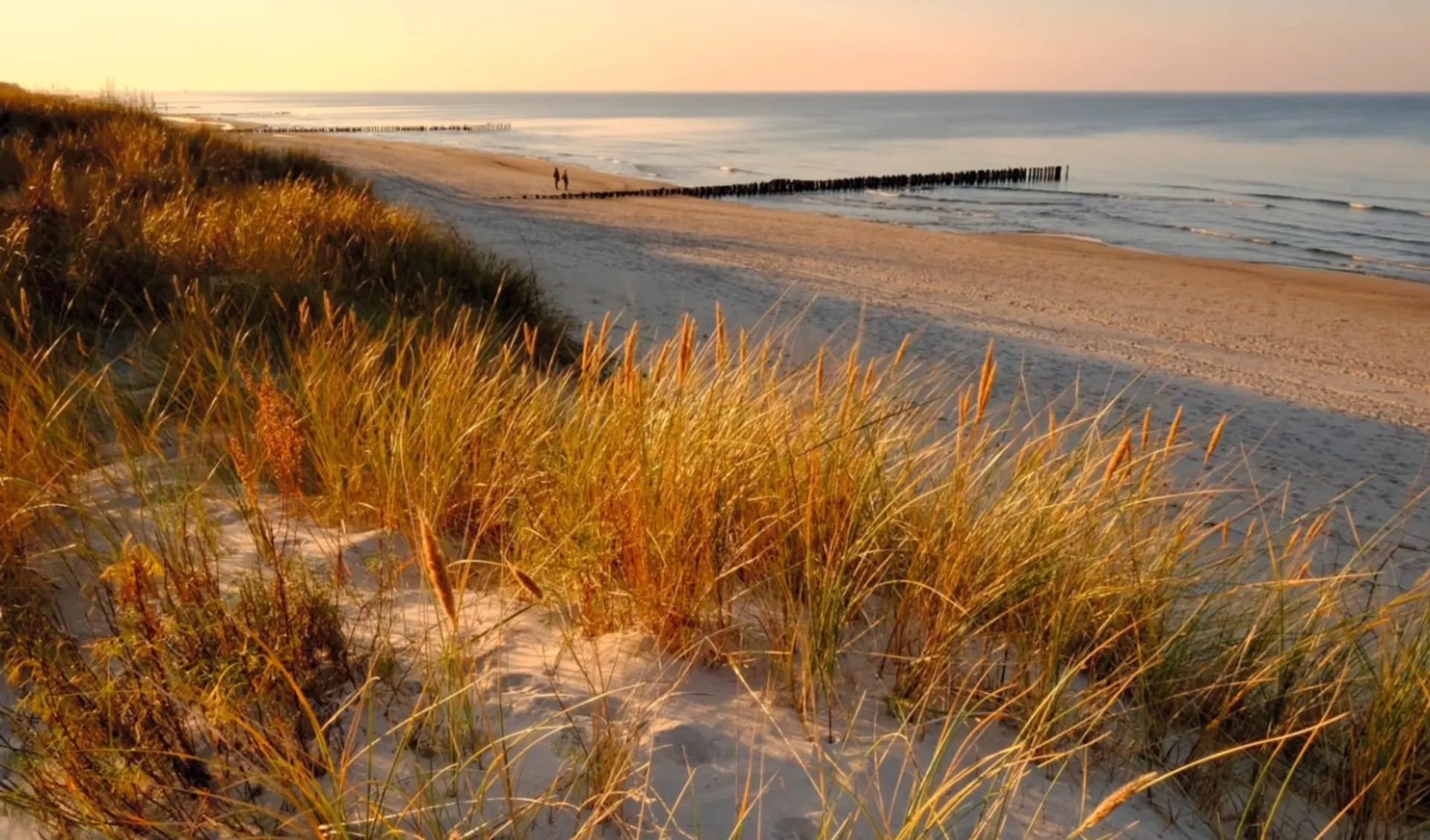 Entlang der polnischen Ostseeküste ab Warschau: Polen_Kolobrzg_shutterstock_1224332422_Konrad Uznanski