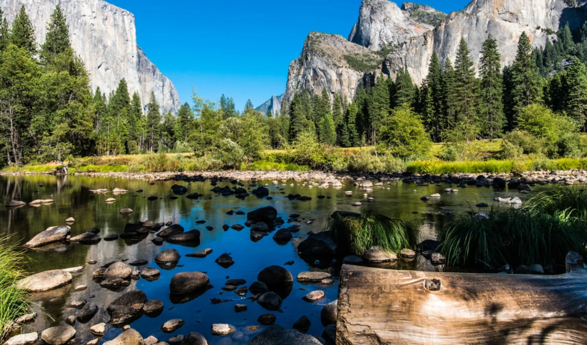 Nationalpark Wanderer ab San Francisco: Yosemite Valley