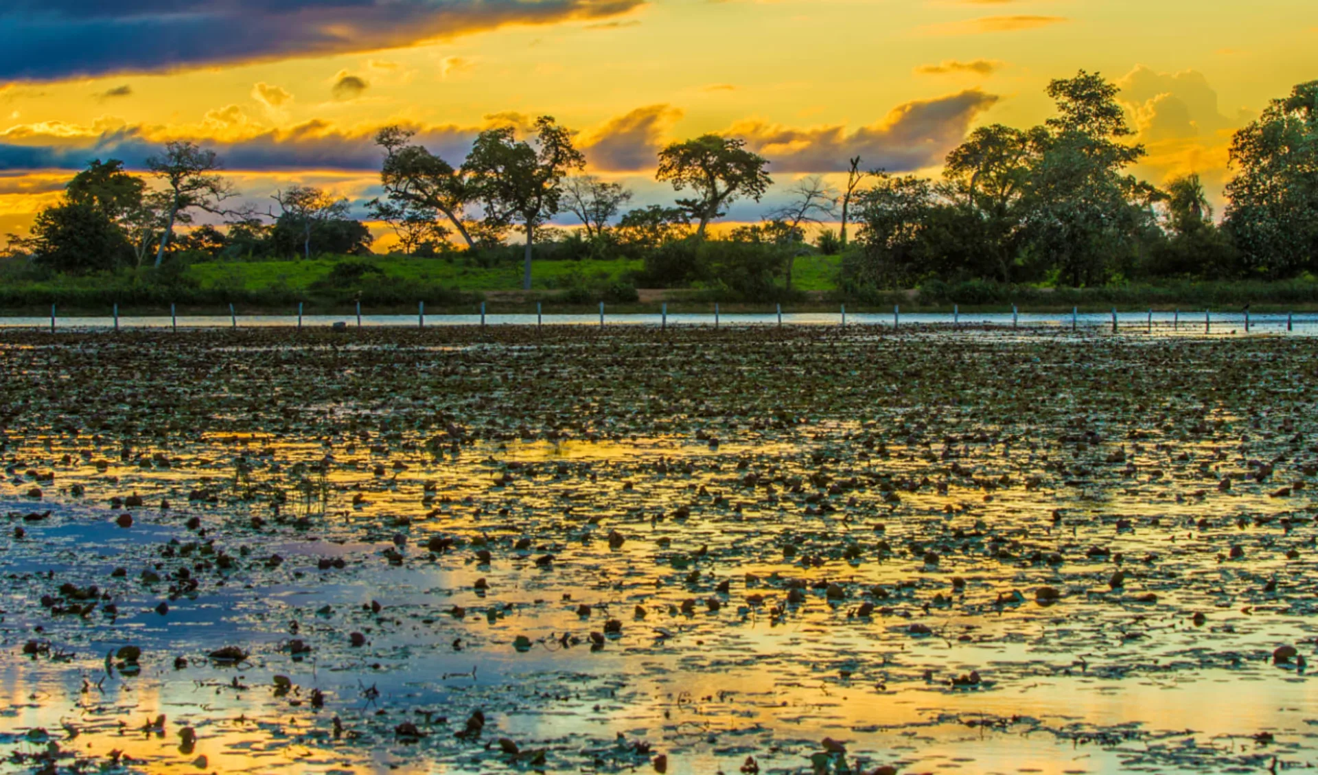 Pousada UeSo Pantanal 4 Tage ab Cuiabá: Pantanal