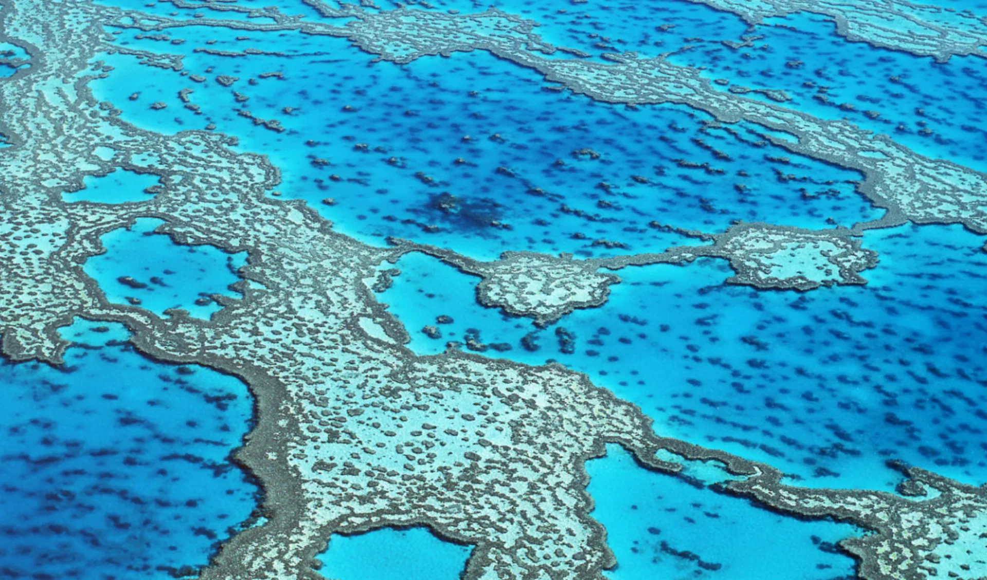 Reefsleep ab Airlie Beach: Great Barrier Reef - Reefsleep