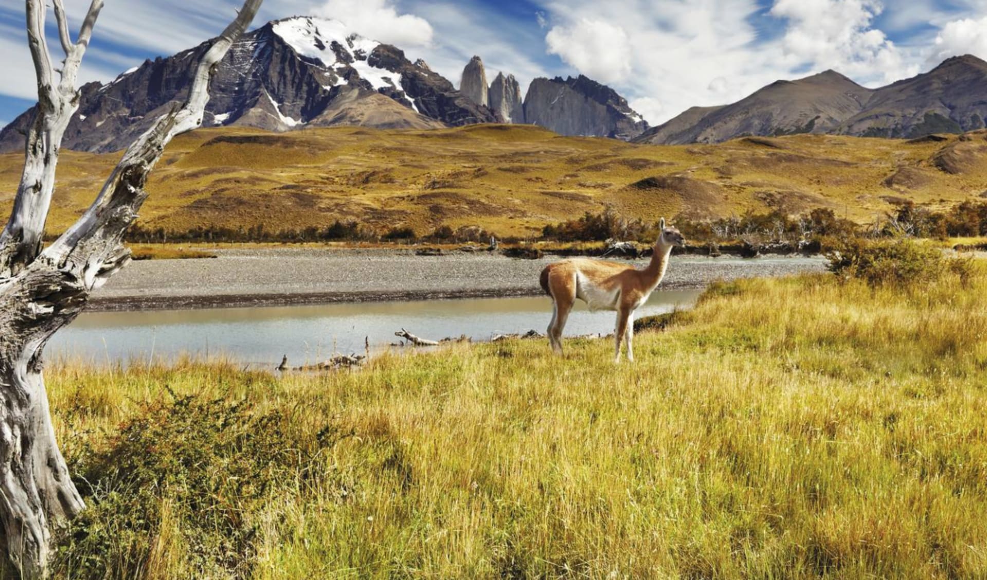 Privatreise Aguas del Sur ab Santiago de Chile: Torres del Paine Privatreise Aguas del Sur ab Santiago de Chile: Torres del Paine