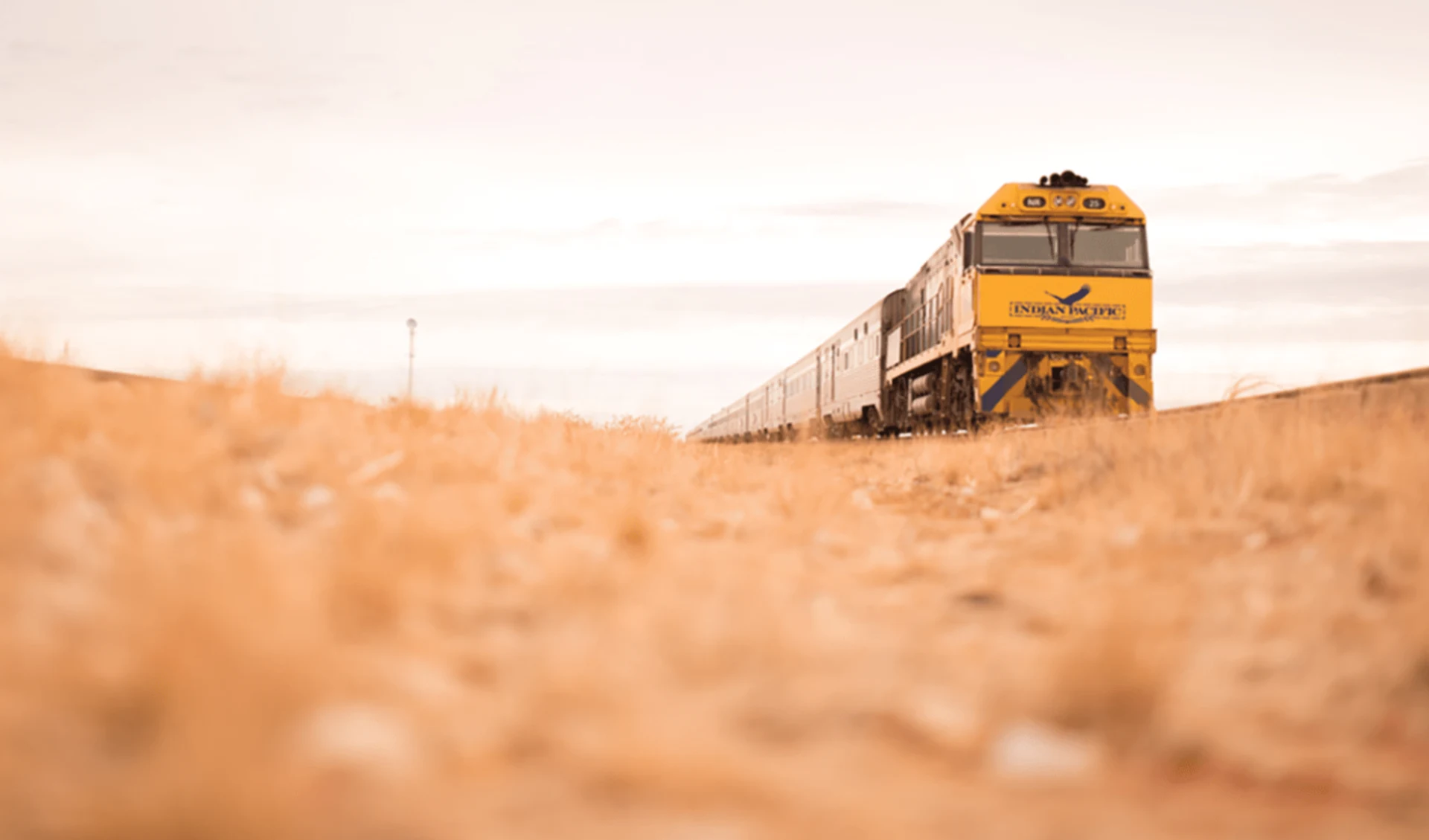 Indian Pacific von Sydney nach Perth: Australien - Bahnreisen - Indian Pacific auf Grasfläche 2018