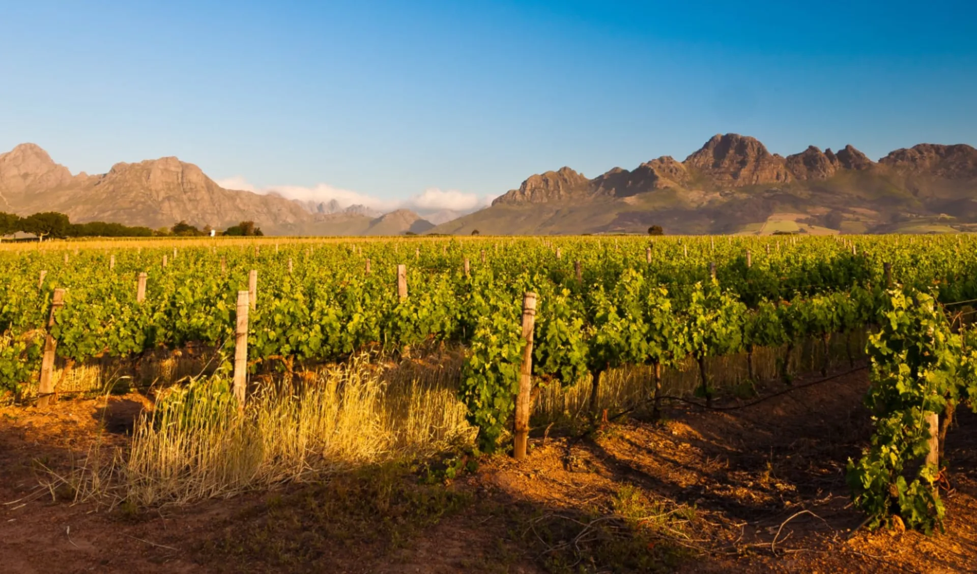 Eine Welt in einem Land ab Johannesburg: Südafrika - Winelands - Stellenbosch