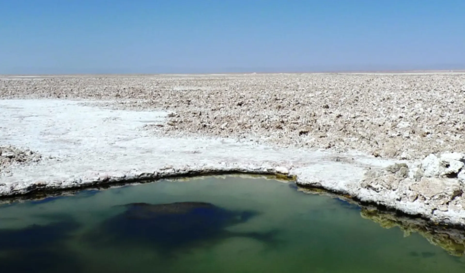 Zubucherreise Von Salta durch die Atacama Wüste: Salar de Atacama
